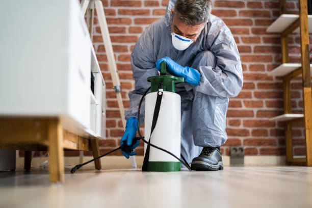 Best Commercial Pest Control  in Long Valley, NJ